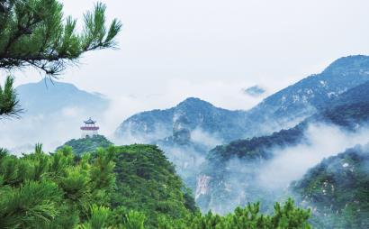 了解社保放弃了能退出钱来吗-快速获取答案的问答平台